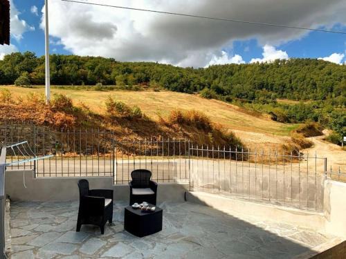 Il Galletto Selvatico di case Mussa - Langhe