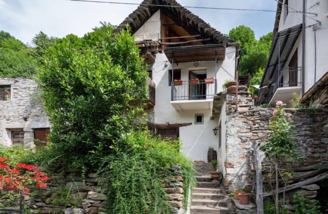 Il Gianlupo Grigio by Interhome