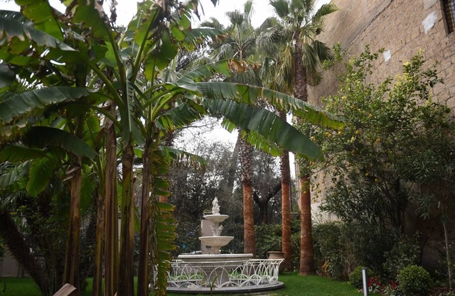 Il giardino delle ninfee