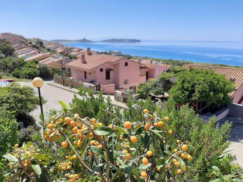 Il giglio vista mare