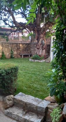 Il Glicine