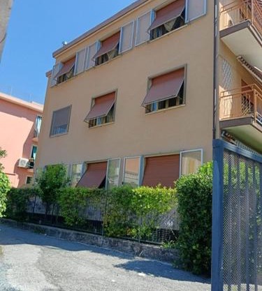 Il Glicine vicino al mare