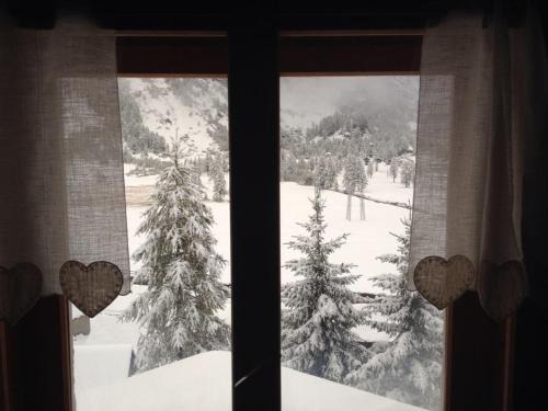 Il Pino B&B