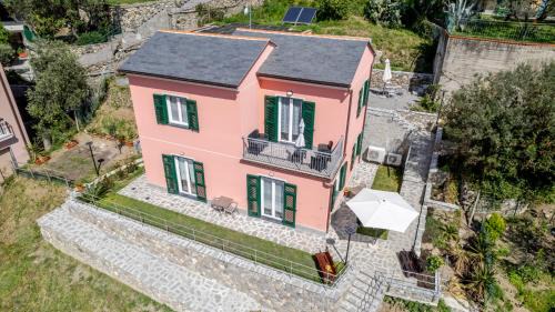 Il Vigneto