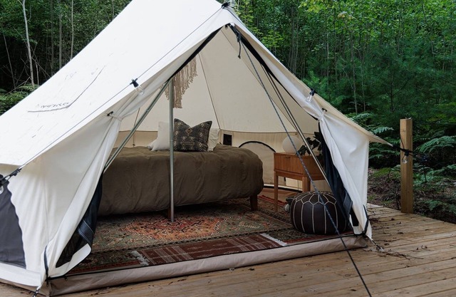 Ilex Forest Retreat: Camp Azalea