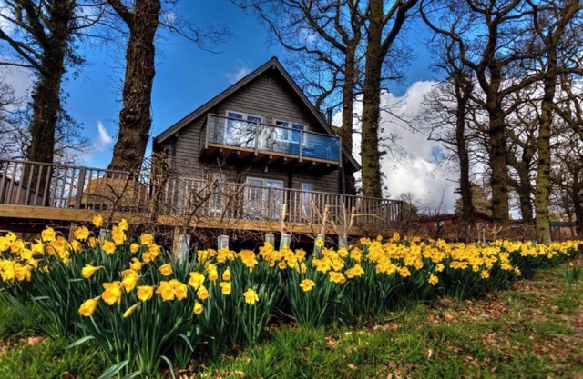 iLodge Ultra - Luxury Log Cabin with Hot Tub, Sauna and Games Room🏡