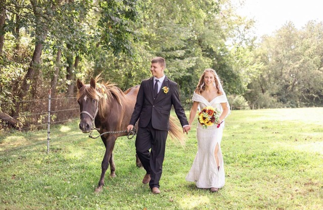 RETREAT LODGE + HOCHZEITSSCHEUNE IN EINEM KLASSISCHEN LAND + 100 ACRES = HeartlandonHeritage