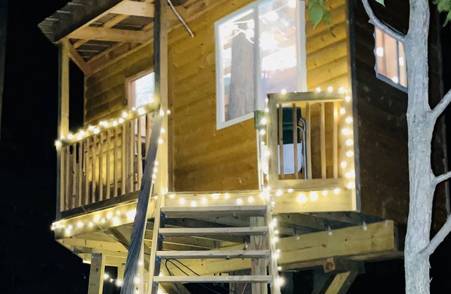 Immerse yourself with nature at this unique living tree-treehouse!