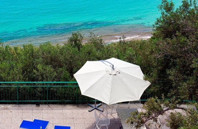In an olive grove with stunning sea views