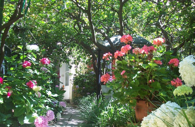 Monterosso Al Mare : Der Zitronengarten