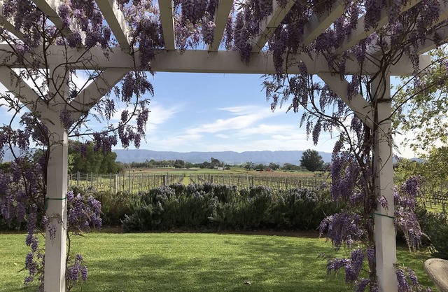 Im Herzen von Los Olivos - Luxusweinland - auf unserem Weingut!