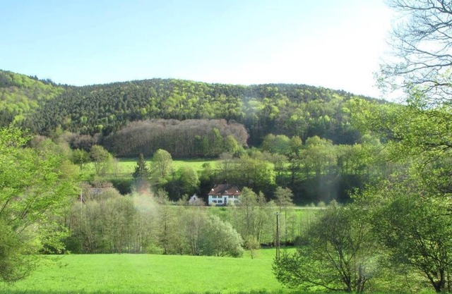 In the middle of nature instead of in the center! Directly at the dt.-frz. border