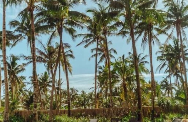 INARA Siargao