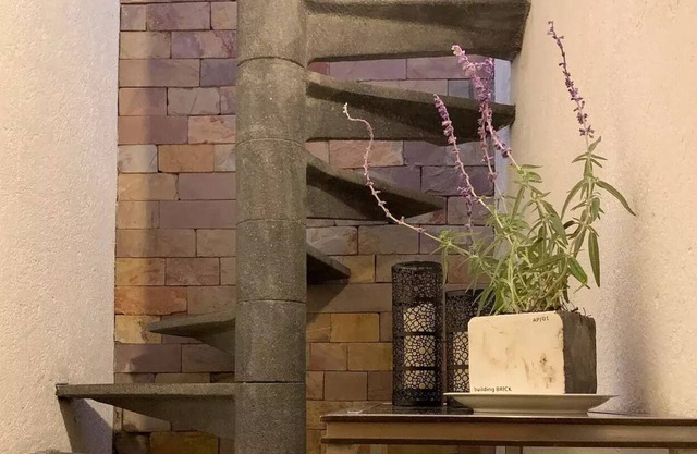 Inspiring Vintage Miniloft/Terrace/SurCdMx Garden