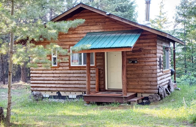 Into the Woods Cabin - Rare, Remote, Relaxing.