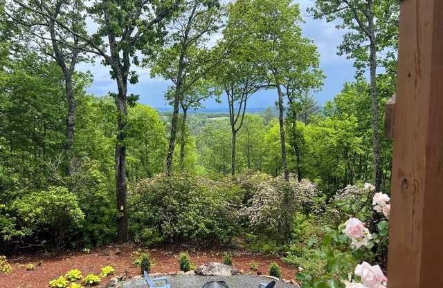 InTOXication - 3 BEDROOM MOUNTAIN HOME WITH A VIEW