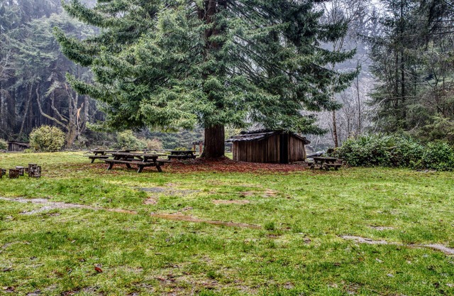 Einladendes Haus mit einem ruhigen Garten zum Entspannen und Grillen - in der Nähe von Stränden und Redwoods!