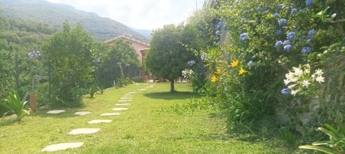 Iris Casa Vacanze