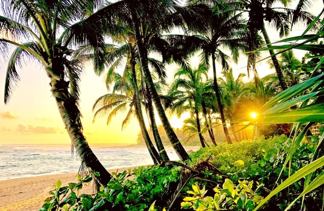 Islands at Mauna Lani IML-E4 by KBM