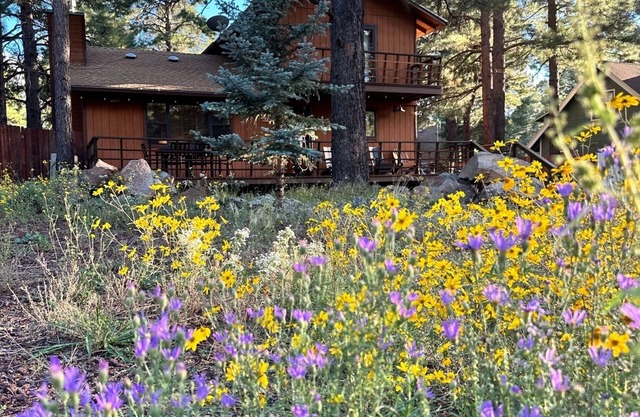 It's a cool summer in Flagstaff! Enjoy the pines in a 3/2 with a king bed