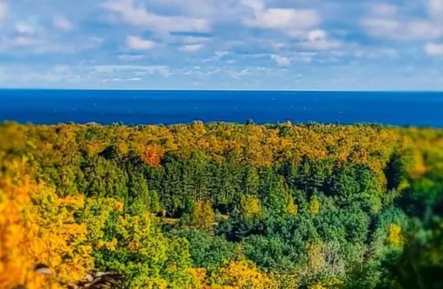 It's Color Tour Time - Come see the changing Colors at the Hideaway