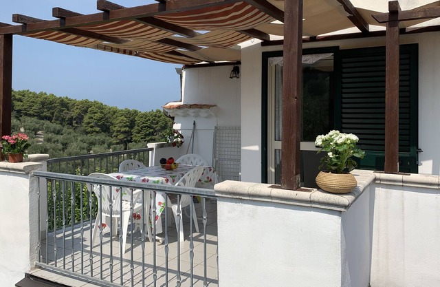 Mulberry house MULBERRY