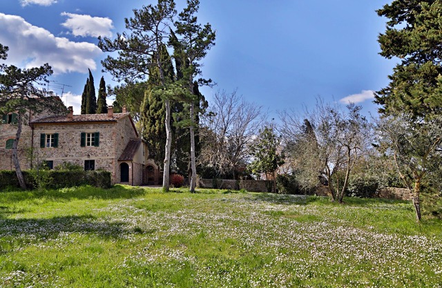 Casa Amiata: Großes Cottage mit Charme auf einem schönen Anwesen in der Toskana: Casa Amiata