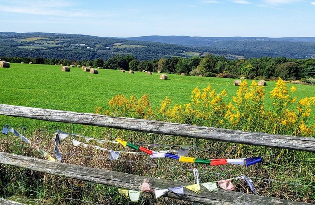 ITHACA, NY - Zeitgenössischer Rückzug auf 36 Morgen mit atemberaubenden Ansichten