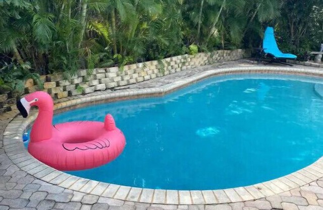 It’s always Summer here! Tropical vibes with heated pool, pets welcome!