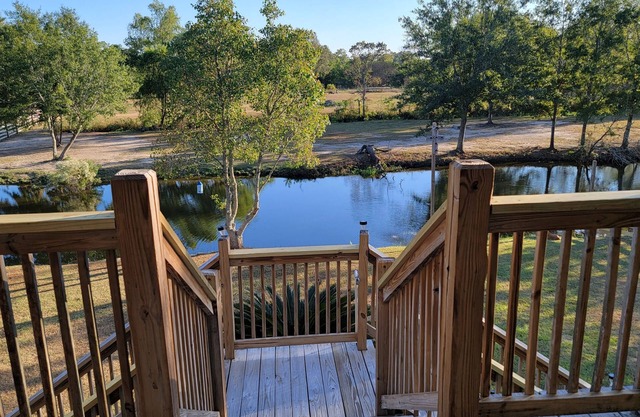 J & S's Pond Da Rosa A Place Apart From The Rest