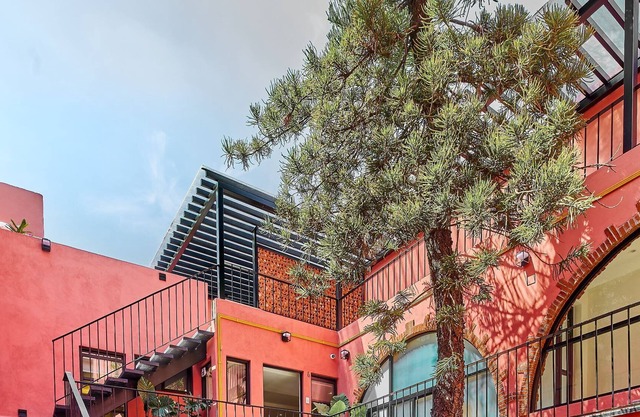 Jacarandas Coyoacan | A Haven for Productivity