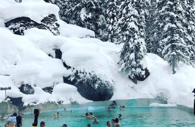Jackson Yellowstone Wildlife Mountain Cabin Ski Fish GolfHike Snowmobile Hottub