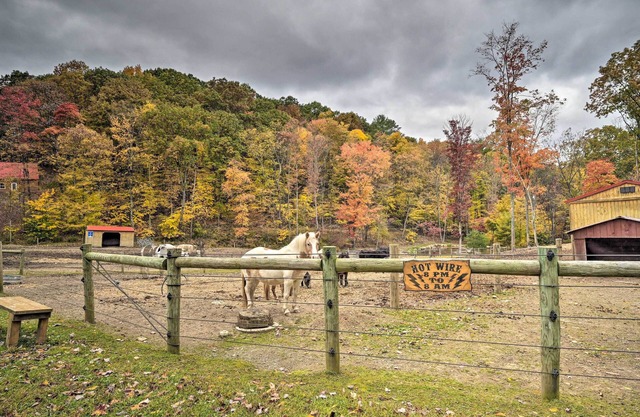 Ranch Apt w / 50 Acres - Minuten zum Raystown Lake!