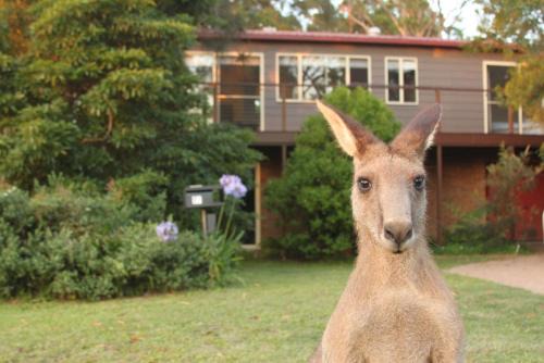 Jan's Retreat by Experience Jervis Bay