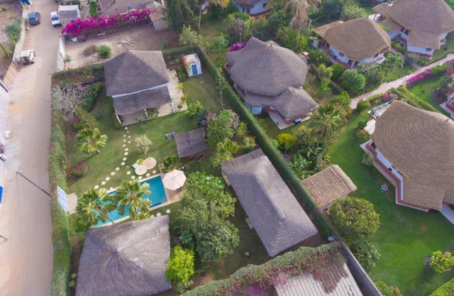 Jardin d'Afrique
