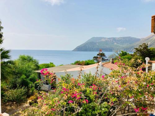 JERA Holiday Collection VULCANO TRE - Fronte Mare