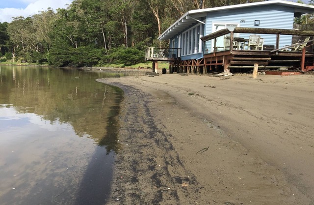 Joe Studio auf Tomales Bay, Bleu Bay Cove, Marshall, Pt Reyes National Park