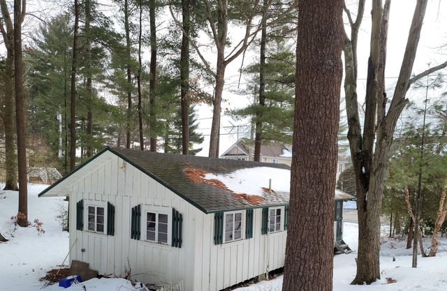 Johnson pond /with boat dock