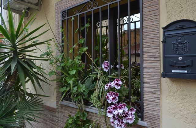 Jolly House Bolognetta