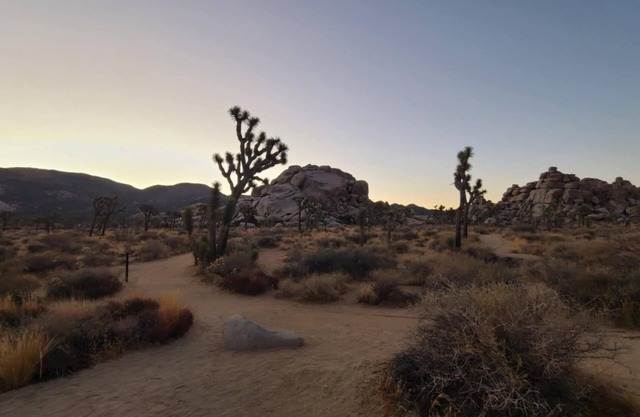 Joshua Tree Panoramic Mountain View Abode
