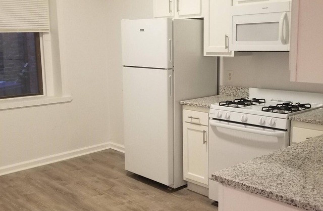 JP Renovated 2-3 Bedroom unit close to downtown Boston and hospitals