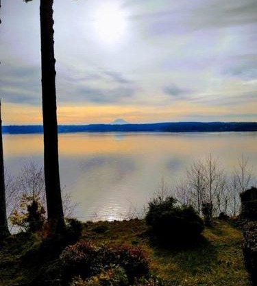 Judys Island Getaway179