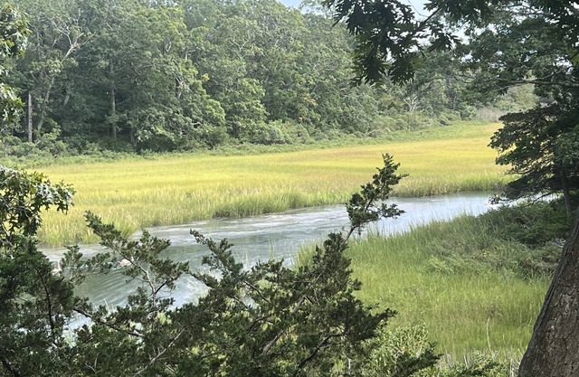 July-Oct: 3 bm charming Waterfront Artist Cottage for Rent In North Fork, NY