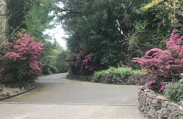 Kurze Fahrt nach Kenwood Sonoma Healdsburg