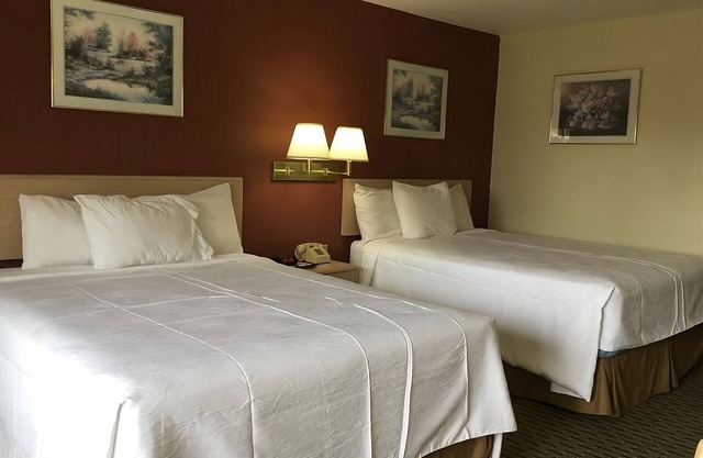 Just What You Were Looking For! 4 Serene Units, Free Parking & Breakfast, Pool