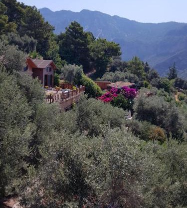Kabak Armes Otel