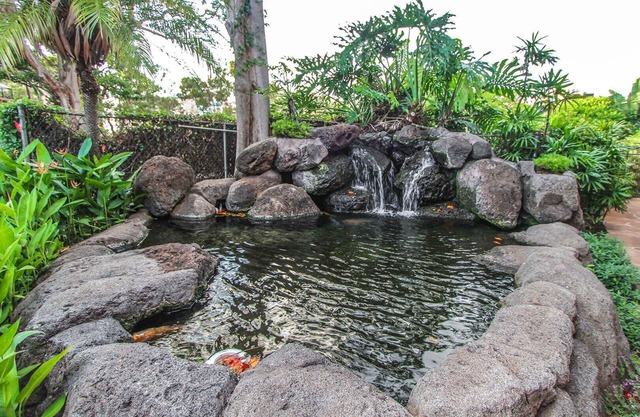 Kahana Falls Maui Studio for 2 kitchenete 1 week Jan 13 to 20
