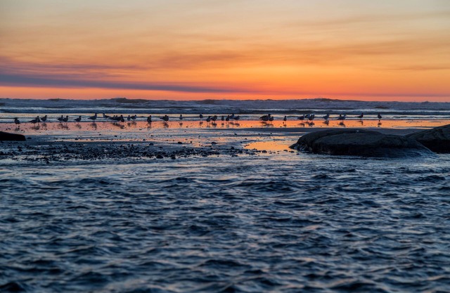 Kalaloch Lodge