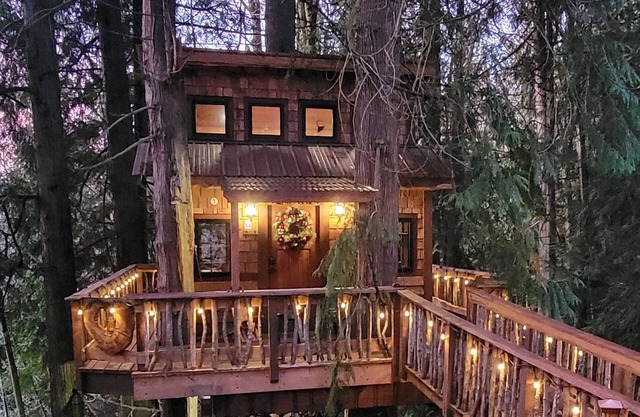 Kalptaru Treehouse Retreat