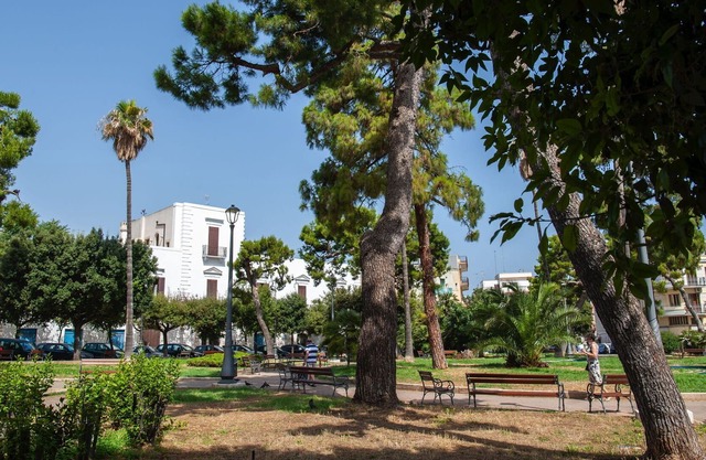 Apartment in Mola Di Bari mit 1 Schlafzimmern 3 Schlafplätzen
